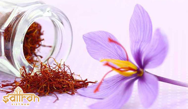 Liều dùng saffron và đối tượng sử dụng